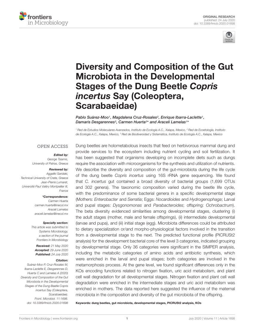 (PDF) Diversity and Composition of the Gut Microbiota in the ...