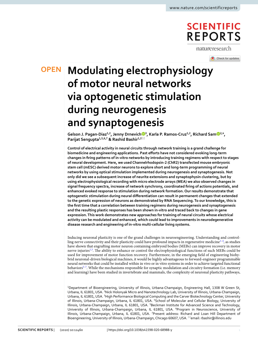 PDF Modulating electrophysiology of motor neural networks via  