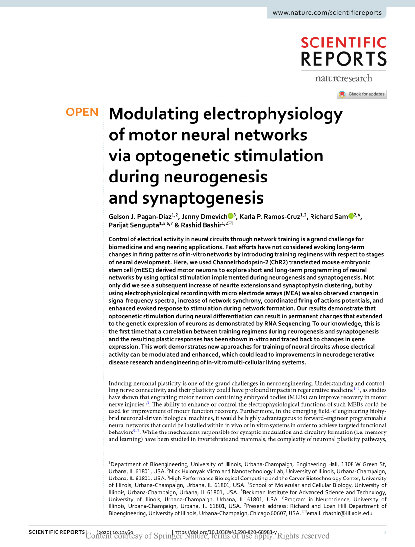 PDF Modulating electrophysiology of motor neural networks via  