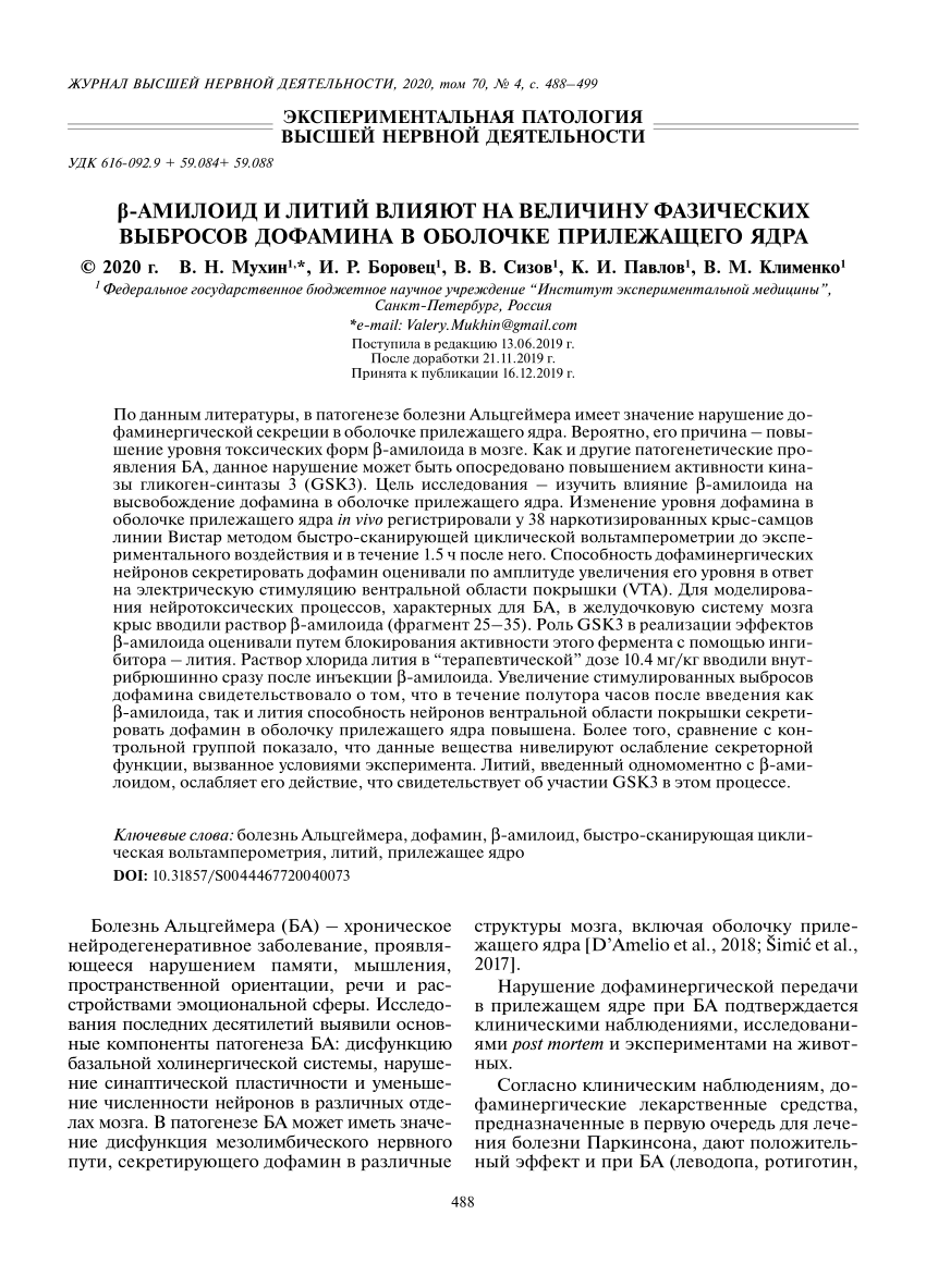 PDF) β-АМИЛОИД И ЛИТИЙ ВЛИЯЮТ НА ВЕЛИЧИНУ ФАЗИЧЕСКИХ ВЫБРОСОВ ДОФАМИНА В  ОБОЛОЧКЕ ПРИЛЕЖАЩЕГО ЯДРА (EFFECTS OF AMYLOID-β AND LITHIUM ON THE PHASIC  DOPAMINE RELEASE IN THE NUCLEUS ACCUMBENS SHELL)