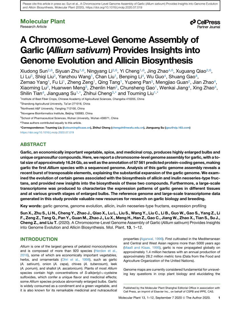Pdf A Chromosome Level Genome Assembly Of Garlic Allium Sativum L Provides Insights Into Genome Evolution And Allicin Biosynthesis