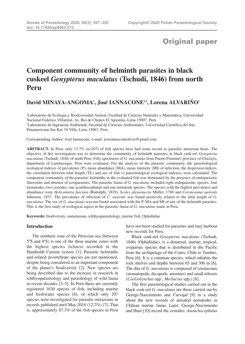 Pdf Component Community Of Helminth Parasites In Black Cuskeel Genypterus Maculatus Tschudi 1846 From North Peru
