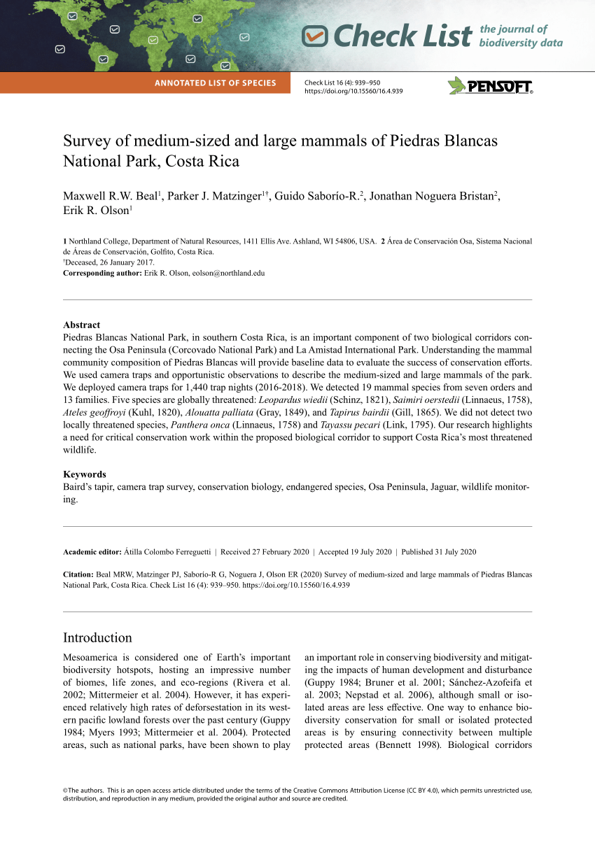 Pdf Survey Of Medium Sized And Large Mammals Of Piedras Blancas National Park Costa Rica
