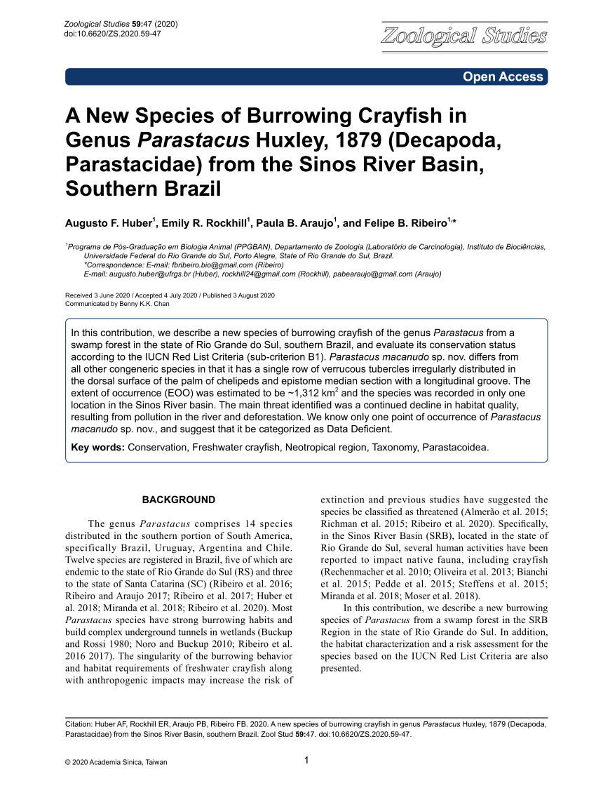 Pdf A New Species Of Burrowing Crayfish In Genus Parastacus Huxley 1879 Decapoda Parastacidae From The Sinos River Basin Southern Brazil