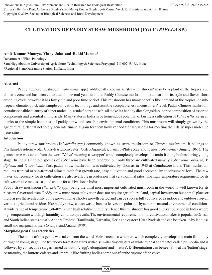 Fact sheet - Paddy straw mushroom (433)