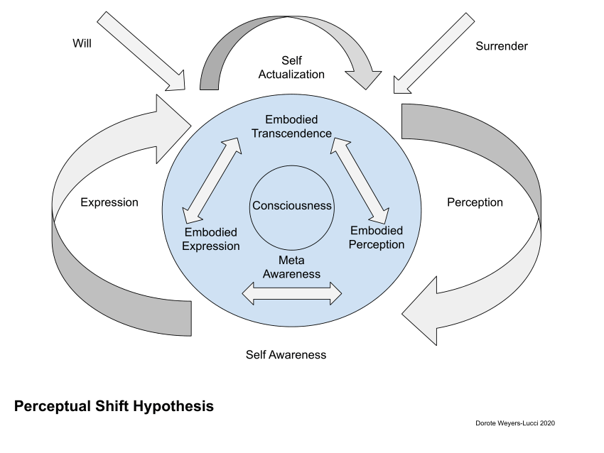 what perceptual hypothesis