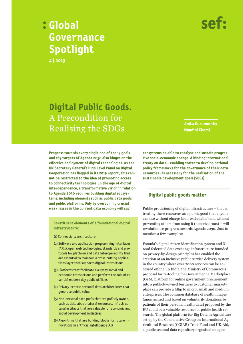 digital public goods essay