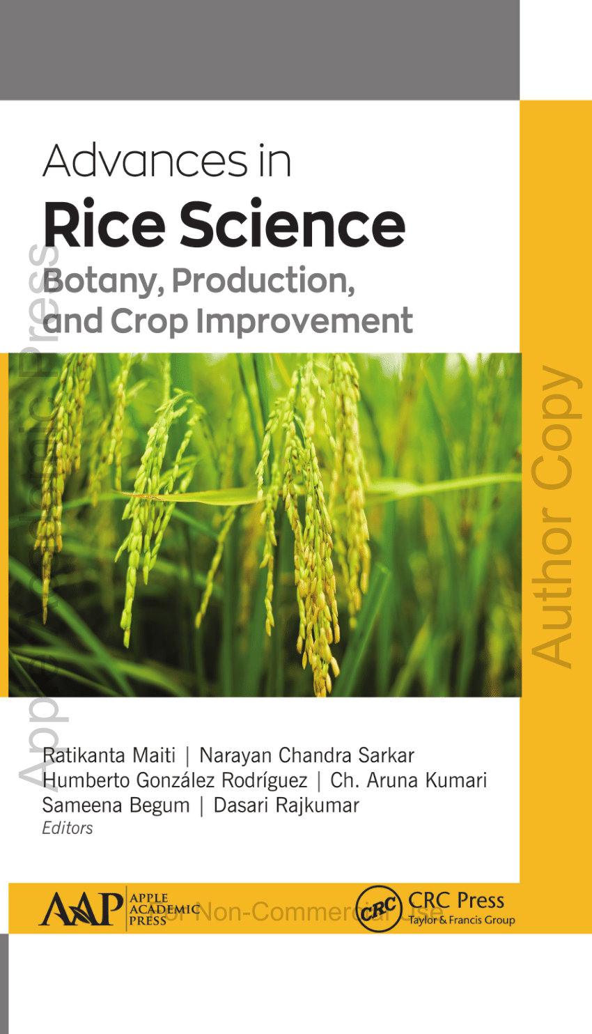 rice research articles