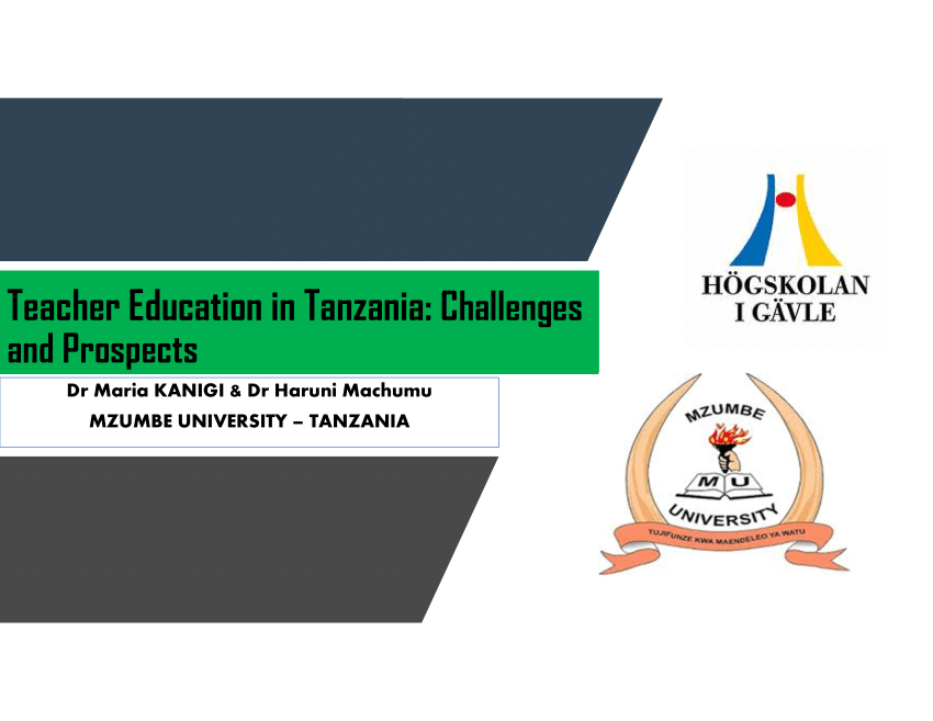 research report on education issues in tanzania