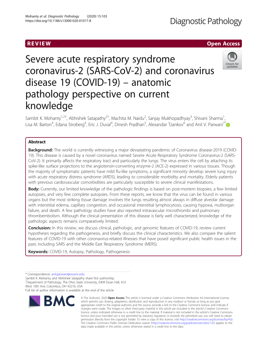 briefpapier Blijven Maak los PDF) Severe acute respiratory syndrome coronavirus-2 (SARS-CoV-2) and  coronavirus disease 19 (COVID-19)- A natomic pathology perspective on  current knowledge