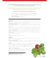 Preview image for Propagación asexual de bursera glabrifolia, Bursera copallifera y Bursera bipinnata bajo tratamientos de enraizadores en condiciones de vivero