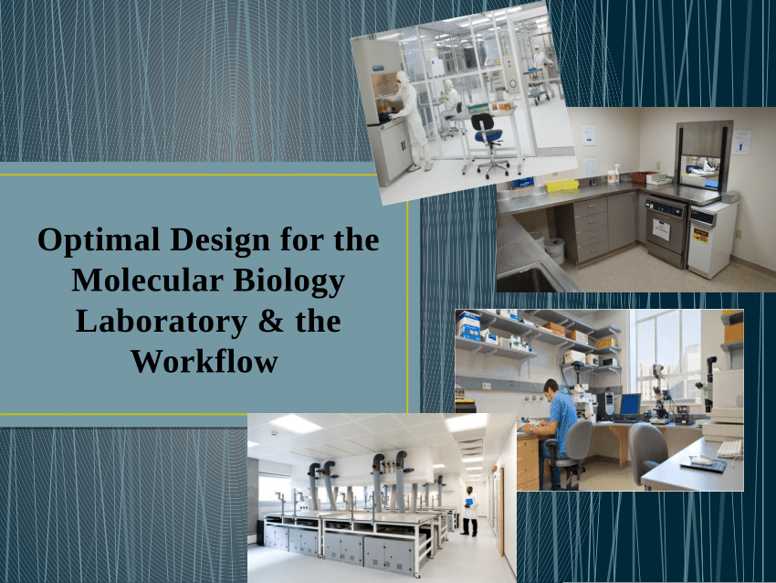 molecular laboratory biology optimal pdf