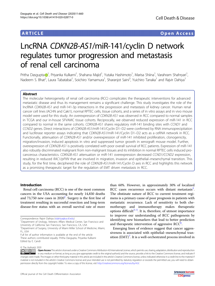 Pdf Lncrna Cdkn2b As1 Mir 141 Cyclin D Network Regulates Tumor Progression And Metastasis Of Renal Cell Carcinoma