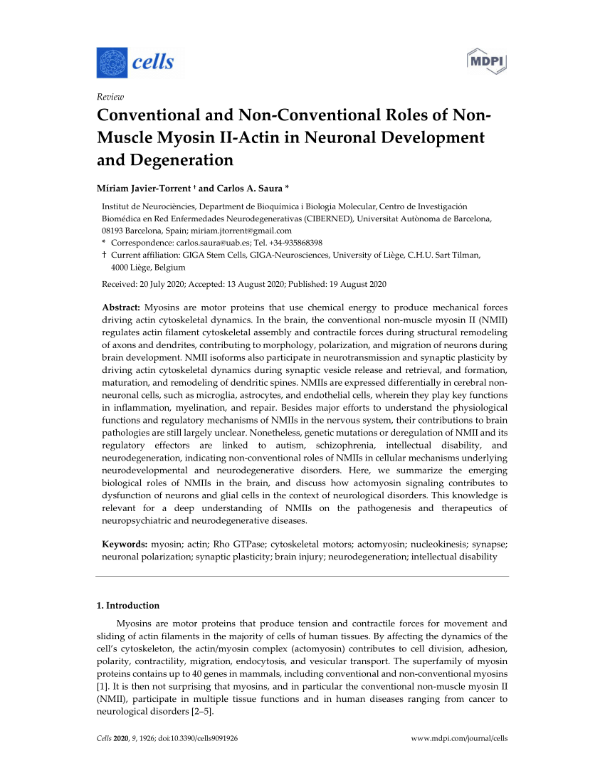 PDF) Conventional and Non-Conventional Roles of Non-Muscle Myosin 