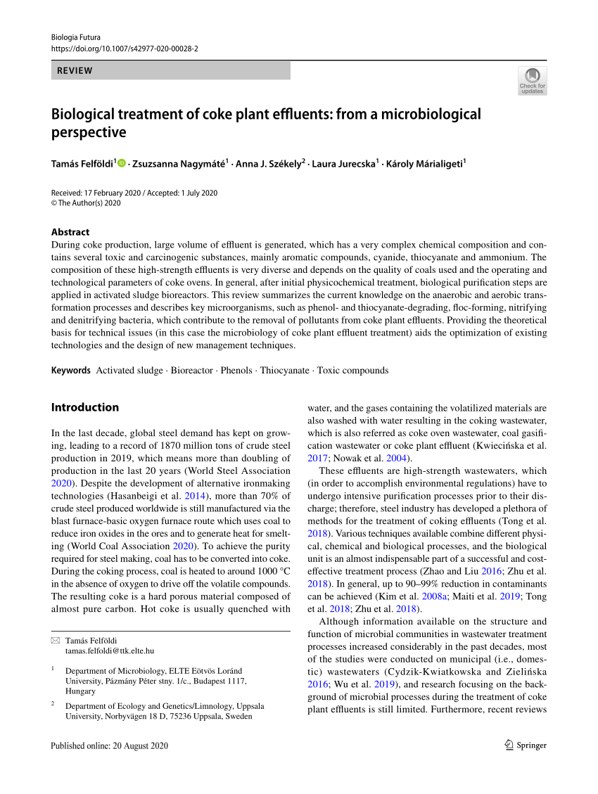 research paper on coca plant