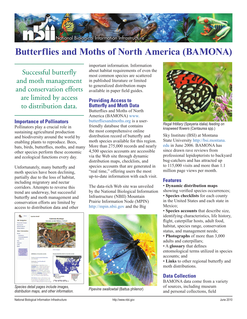 PDF) Butterflies and Moths of North America (BAMONA). USGS-NBII Fact Sheet.  June edition