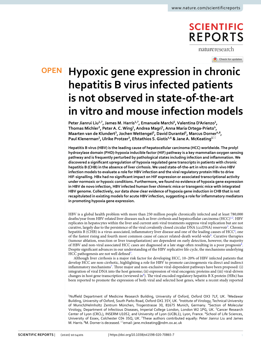 PDF) Hypoxic gene expression in chronic hepatitis B virus infected