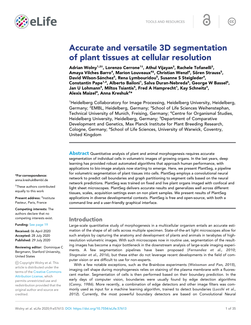 PDF) Accurate and versatile 3D segmentation of plant tissues at ...