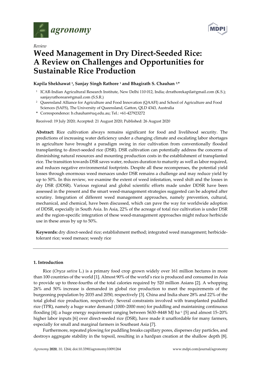 research paper on weed management in rice