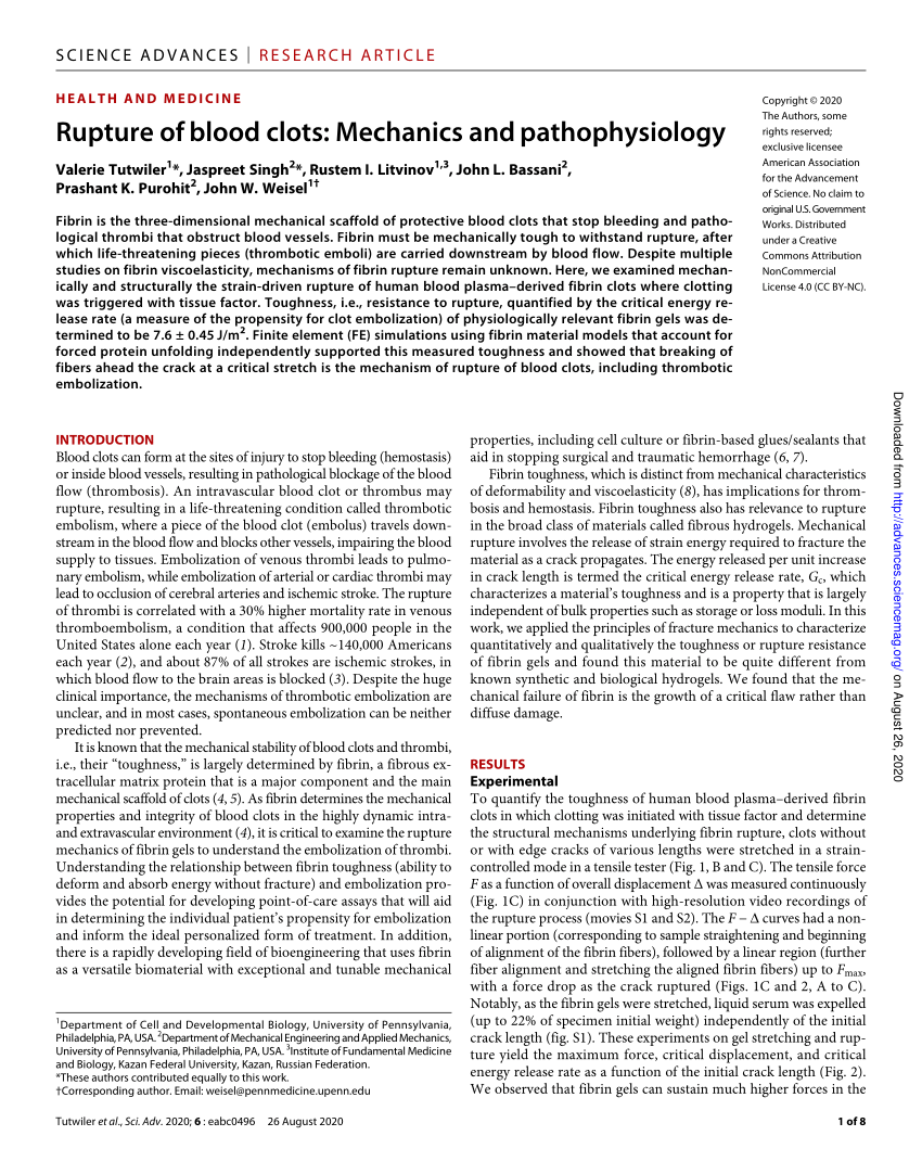 PDF) Rupture of blood clots: Mechanics and pathophysiology