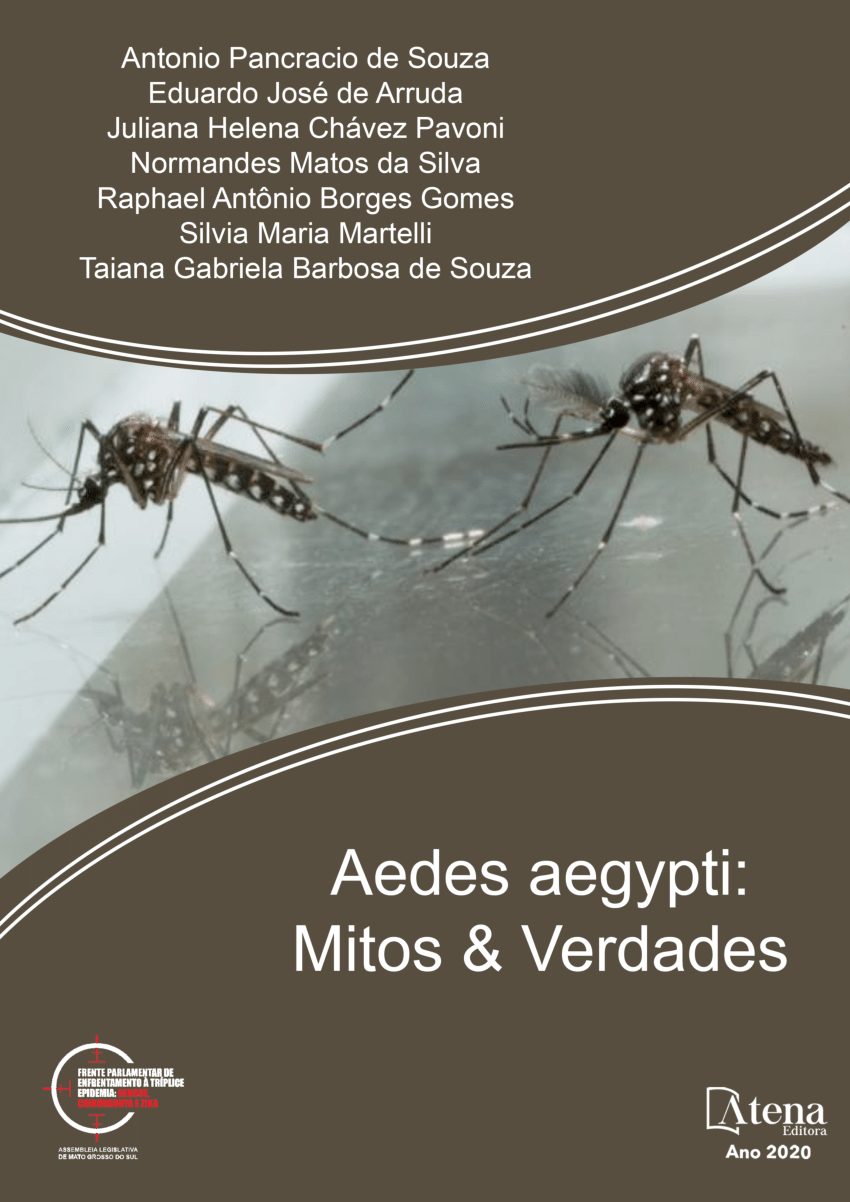 Prefeitura de Niterói - Esse é o Aedes. Apesar de ser inverno ele