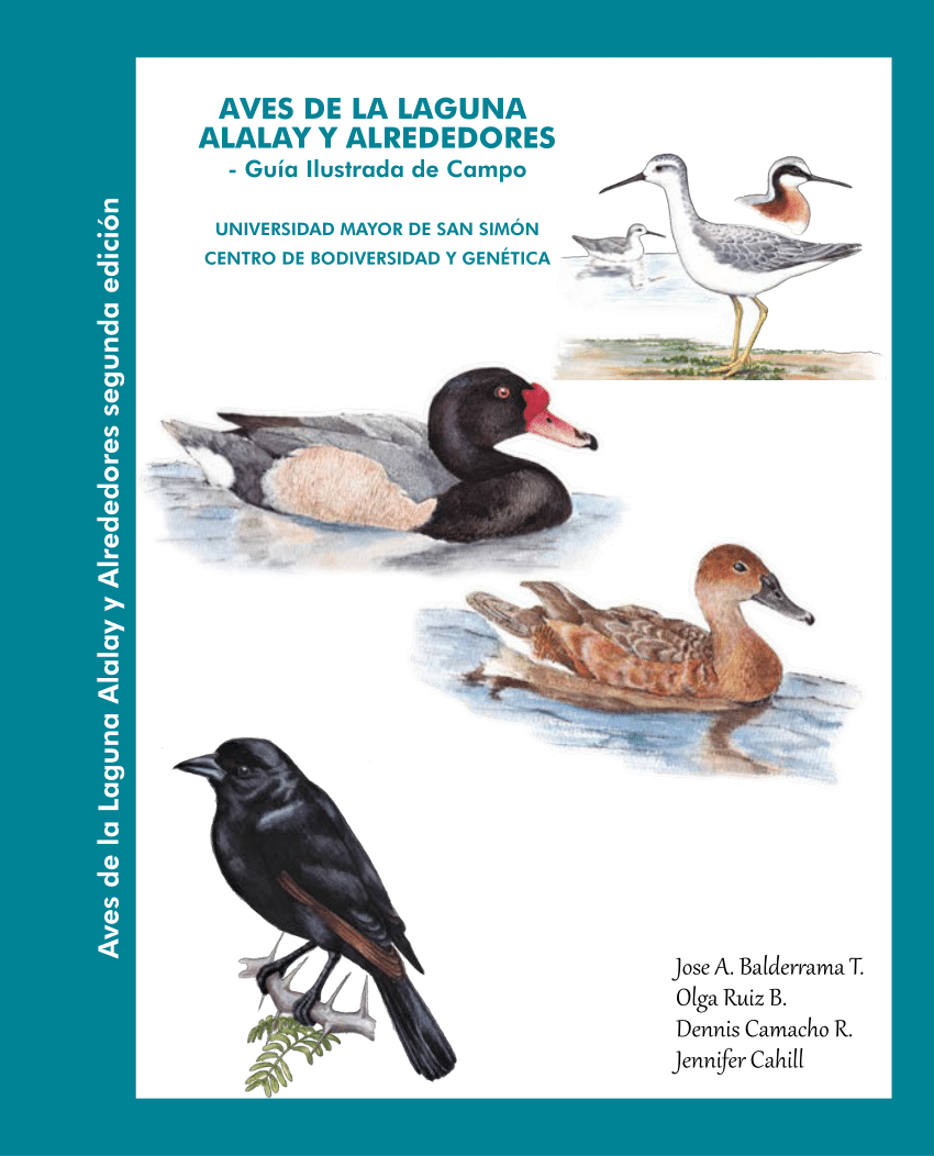 PDF) Aves de la Laguna Alalay y Alrededores segunda edición AVES