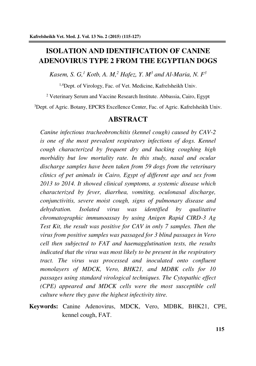 (PDF) ISOLATION AND IDENTIFICATION OF CANINE ADENOVIRUS TYPE 2 FROM THE