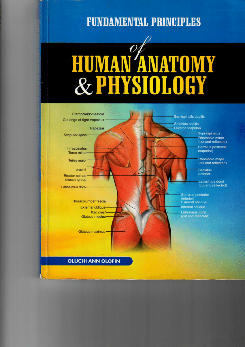 Pdf Fundamental Principles Of Human Anatomy And Physiology