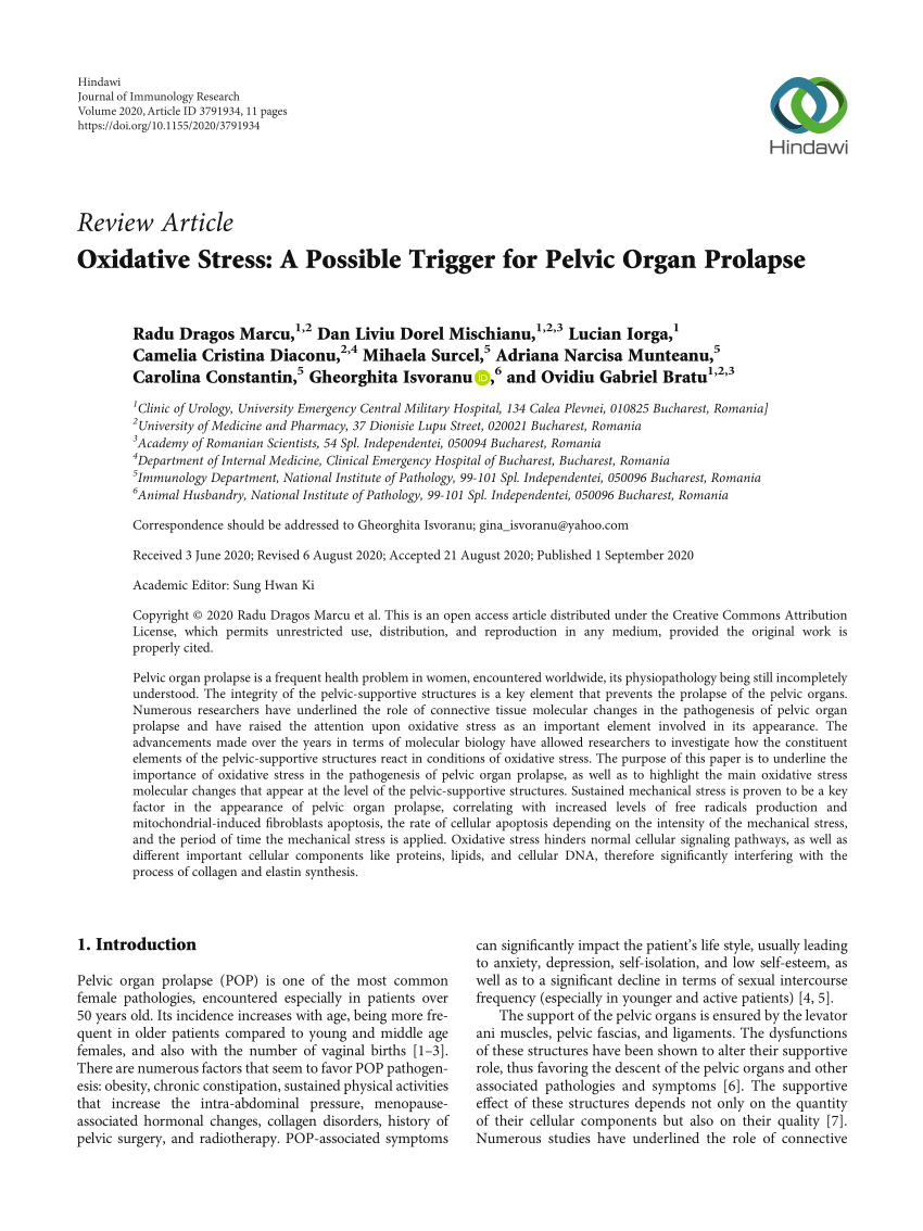 Pelvic Prolapse  Nucleus Health 