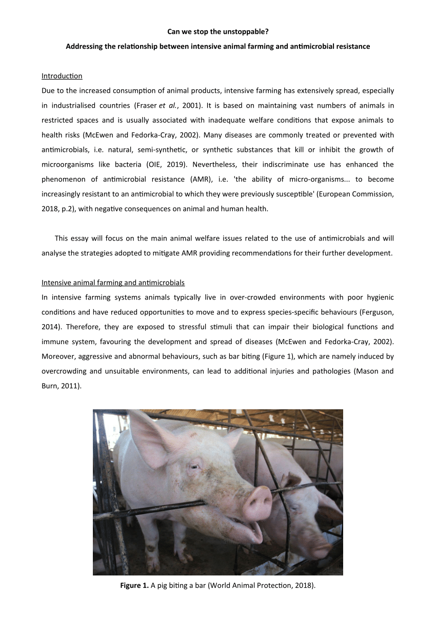 PDF) Can we stop the unstoppable? Addressing the relationship between  intensive animal farming and antimicrobial resistance. Winner essay of the  CAW/CIWF Essay Competition 2020