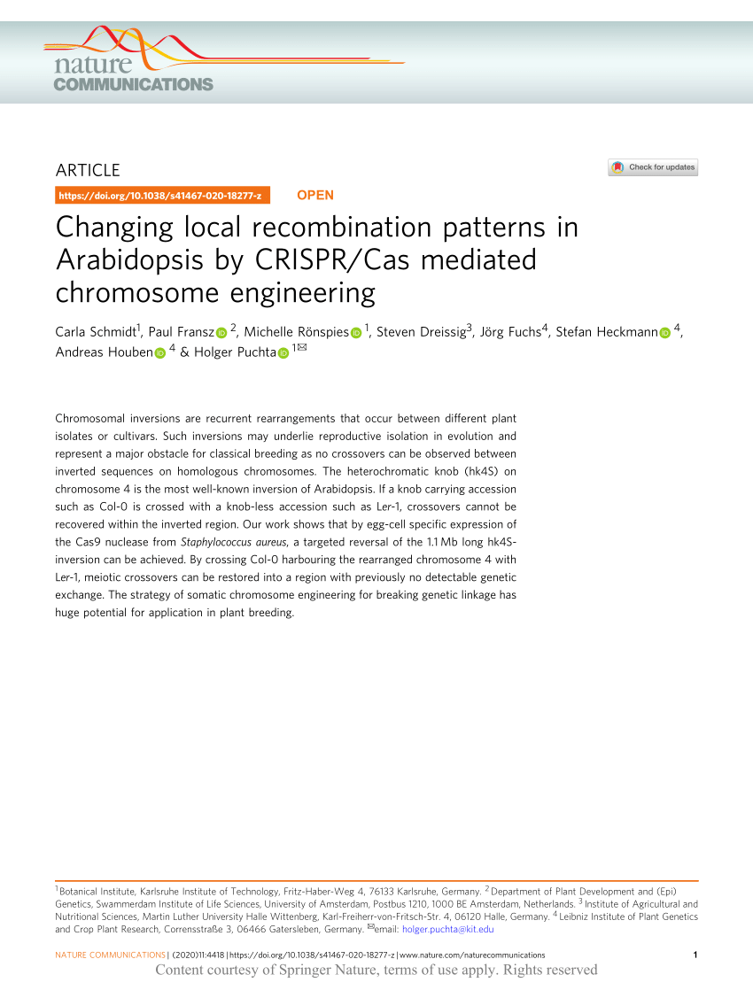 Massive crossover suppression by CRISPR–Cas-mediated plant