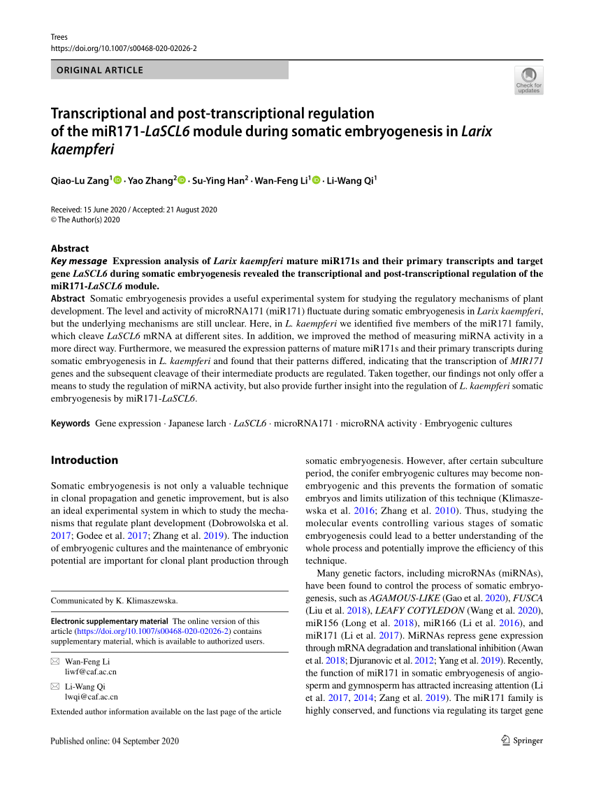 (PDF) Transcriptional and post-transcriptional regulation of the miR171 ...