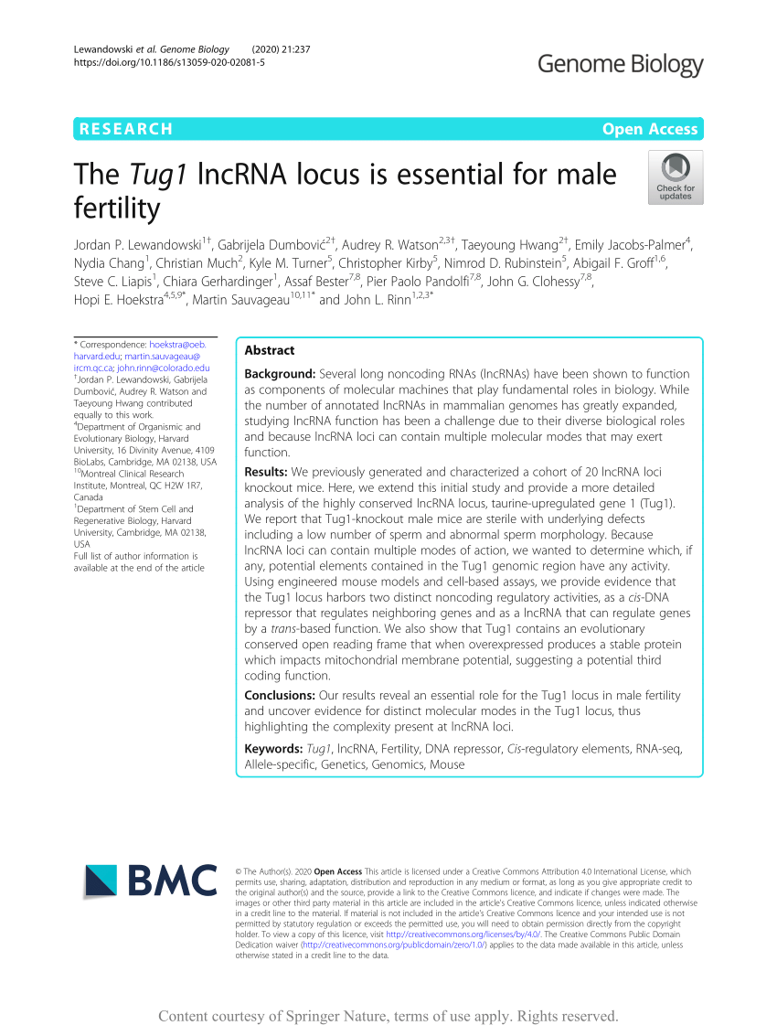 Pdf The Tug1 Lncrna Locus Is Essential For Male Fertility