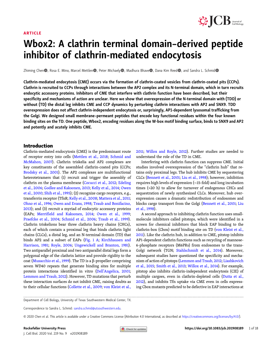 PDF) Wbox2: A clathrin terminal domain-derived peptide inhibitor of  clathrin-mediated endocytosis