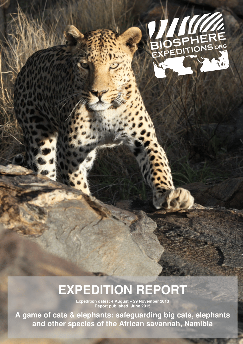 PDF) Expedition report: A game of cats & elephants: safeguarding big cats,  elephants and other species of the African savannah, Namibia (August -  November 2013)