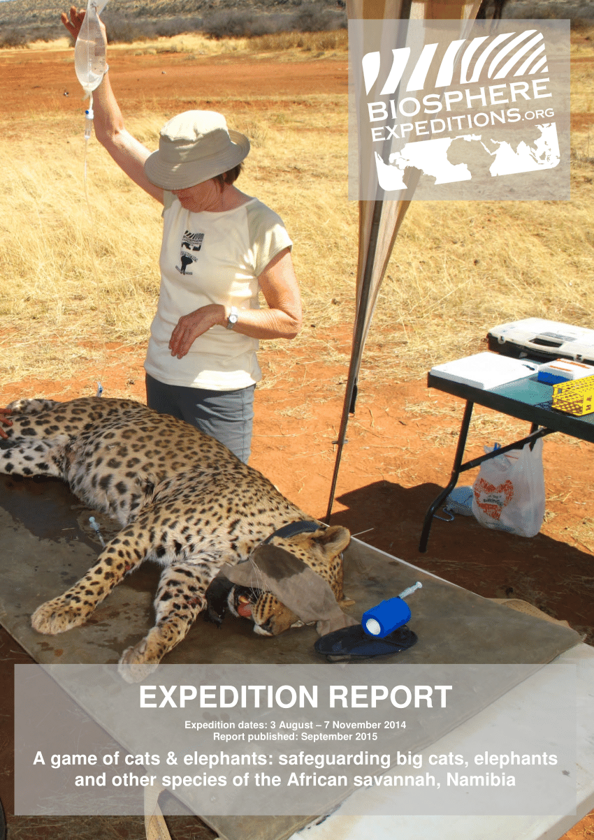 PDF) Expedition report: A game of cats & elephants: safeguarding big cats,  elephants and other species of the African savannah, Namibia (August -  November 2014)