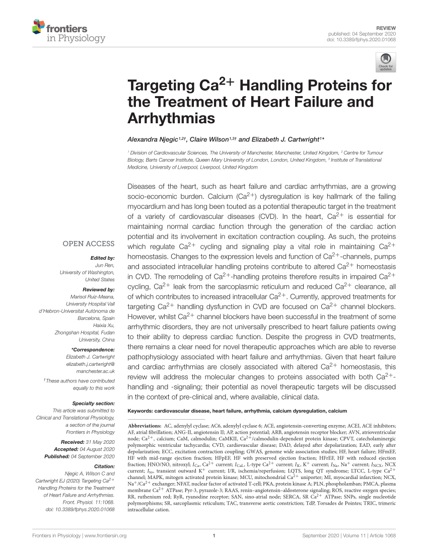 Pdf Targeting Ca2 Handling Proteins For The Treatment Of Heart Failure And Arrhythmias