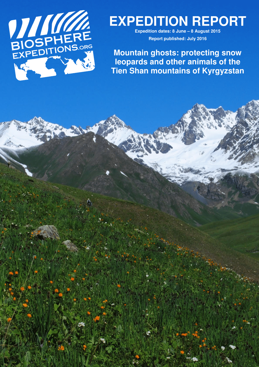 Pdf Expedition Report Mountain Ghosts Protecting Snow Leopards And