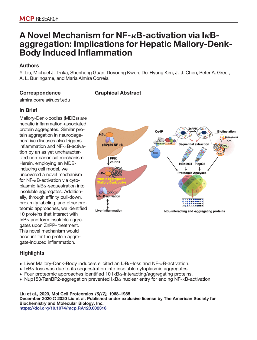 PDF) A Novel Mechanism For NF-κB Activation Via IκB Aggregation:  Implications For Hepatic Mallory-Denk-Body Induced Inflammation