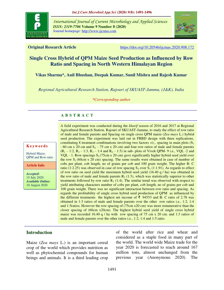 (PDF) Single Cross Hybrid of QPM Maize Seed Production as Influenced by
