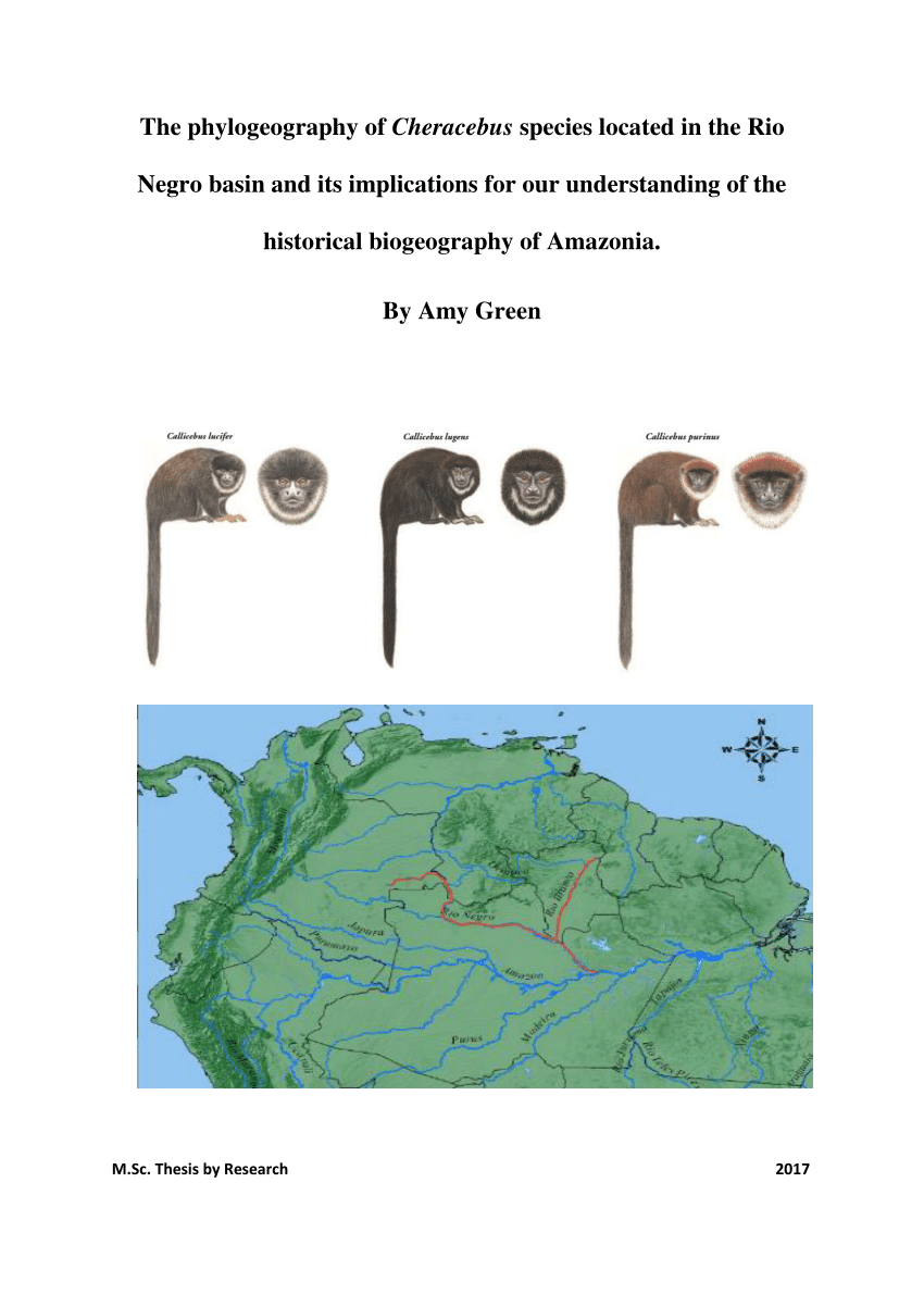 Pdf The Phylogeography Of Cheracebus Species Located In The Rio Negro Basin And Its Implications For Our Understanding Of The Historical Biogeography Of Amazonia