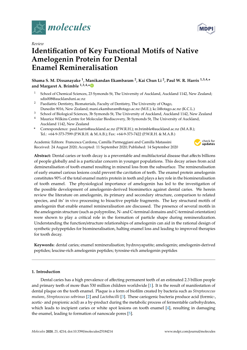 Pdf Identification Of Key Functional Motifs Of Native Amelogenin Protein For Dental Enamel 