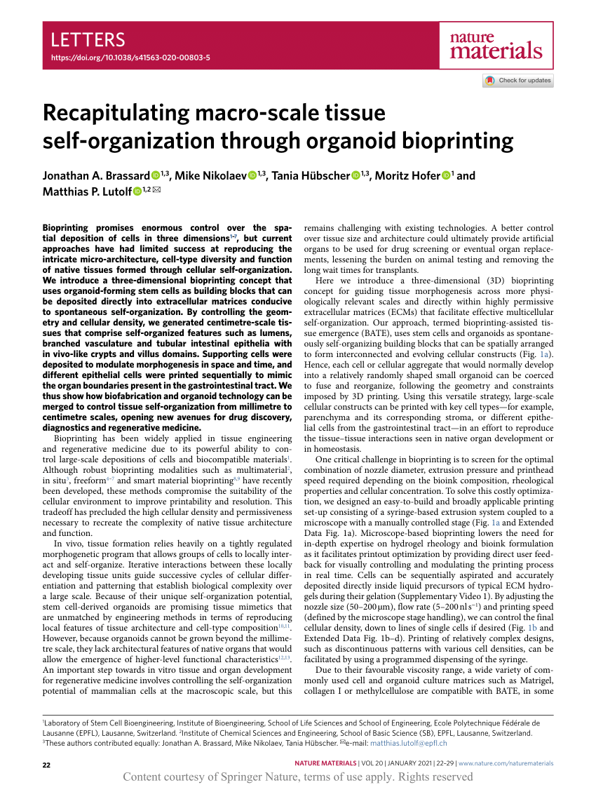 https://i1.rgstatic.net/publication/344335713_Recapitulating_macro-scale_tissue_self-organization_through_organoid_bioprinting/links/5f6988ba92851c14bc8df5c3/largepreview.png