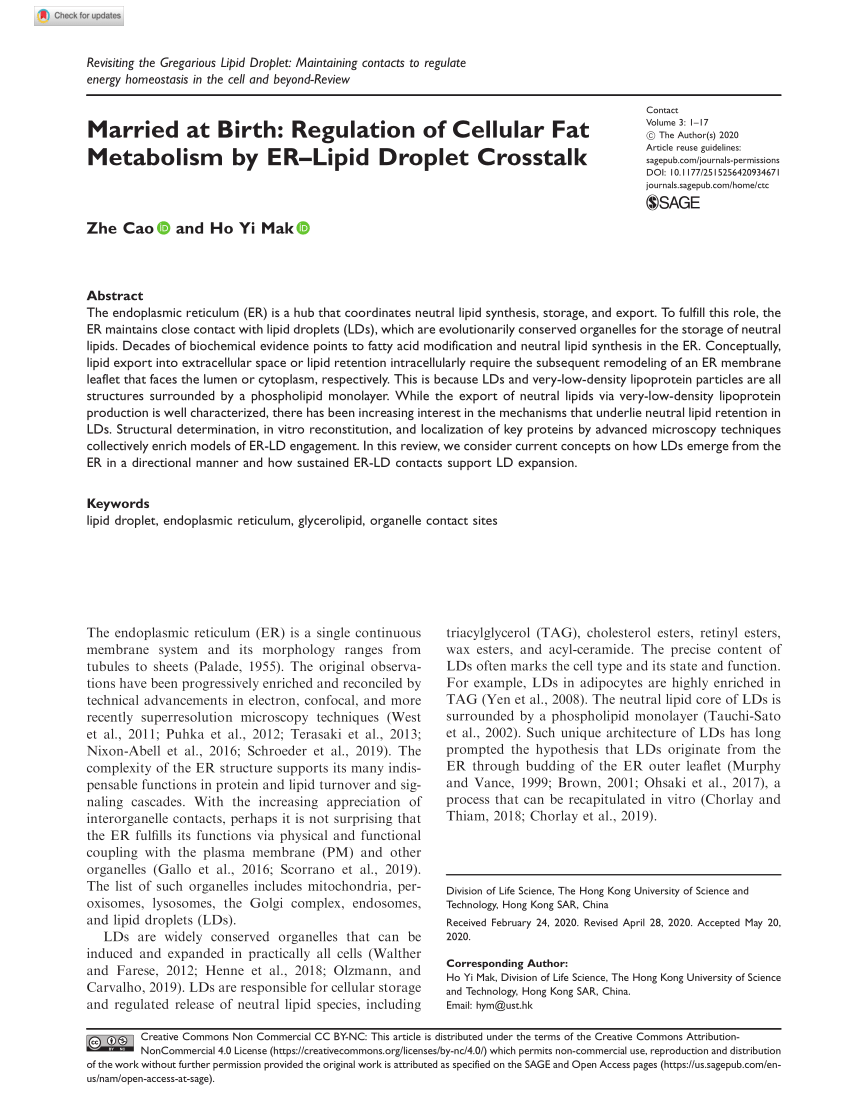 PDF) Married at Birth: Regulation of Cellular Fat Metabolism by ER 