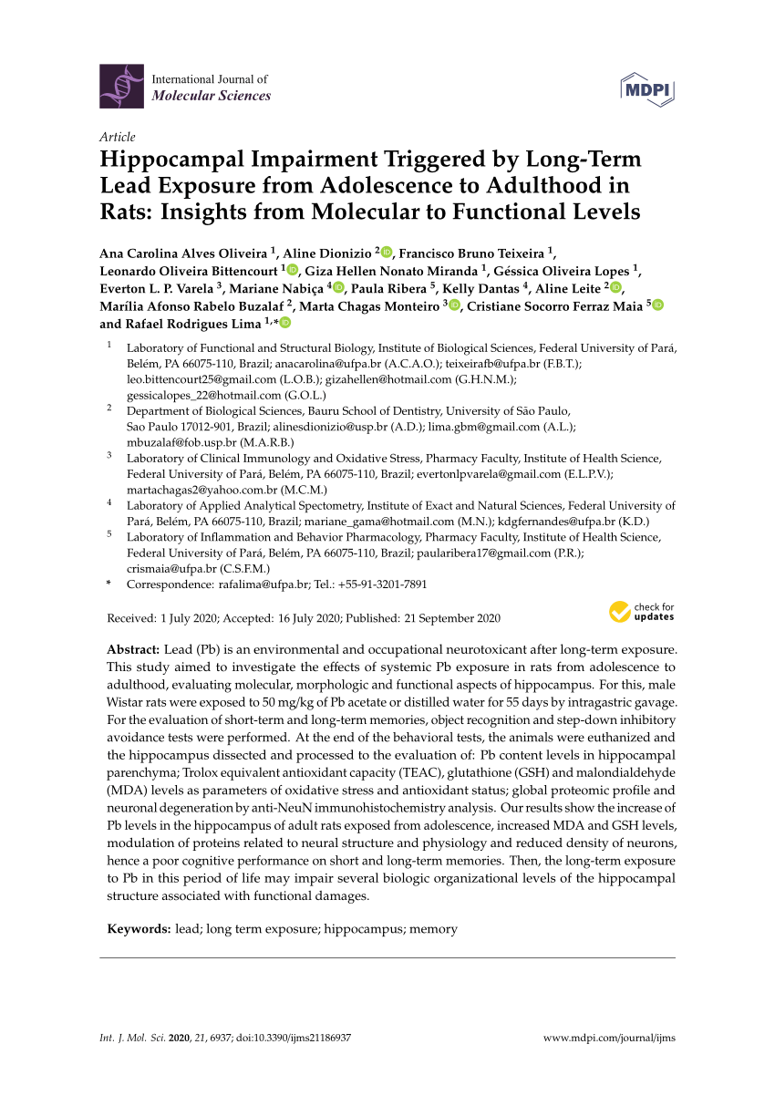 Pdf Hippocampal Impairment Triggered By Long Term Lead Exposure From Adolescence To Adulthood In Rats Insights From Molecular To Functional Levels