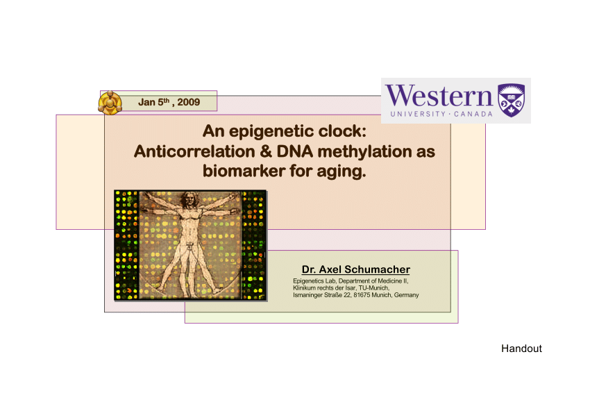 epigenetisches anti aging