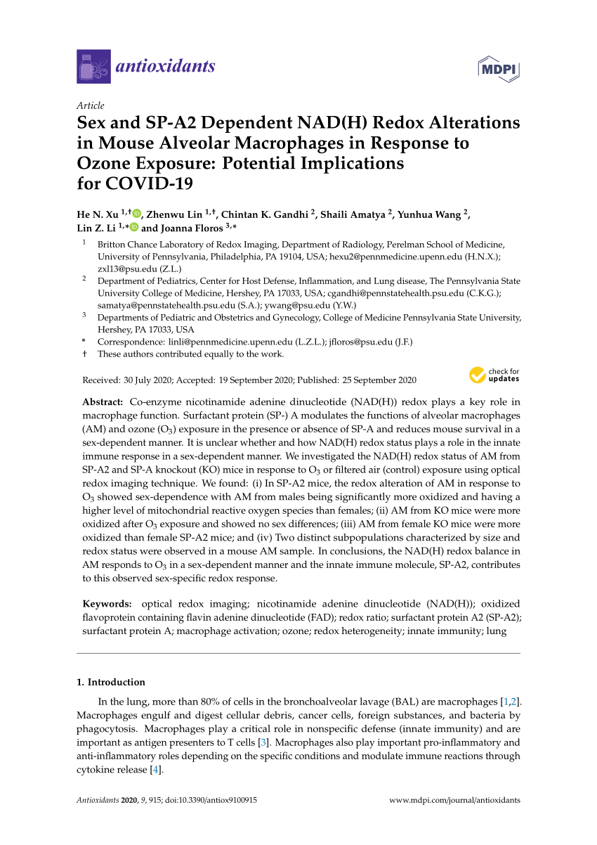 Pdf Sex And Sp A2 Dependent Nad H Redox Alterations In Mouse Alveolar Macrophages In Response To Ozone Exposure Potential Implications For Covid 19