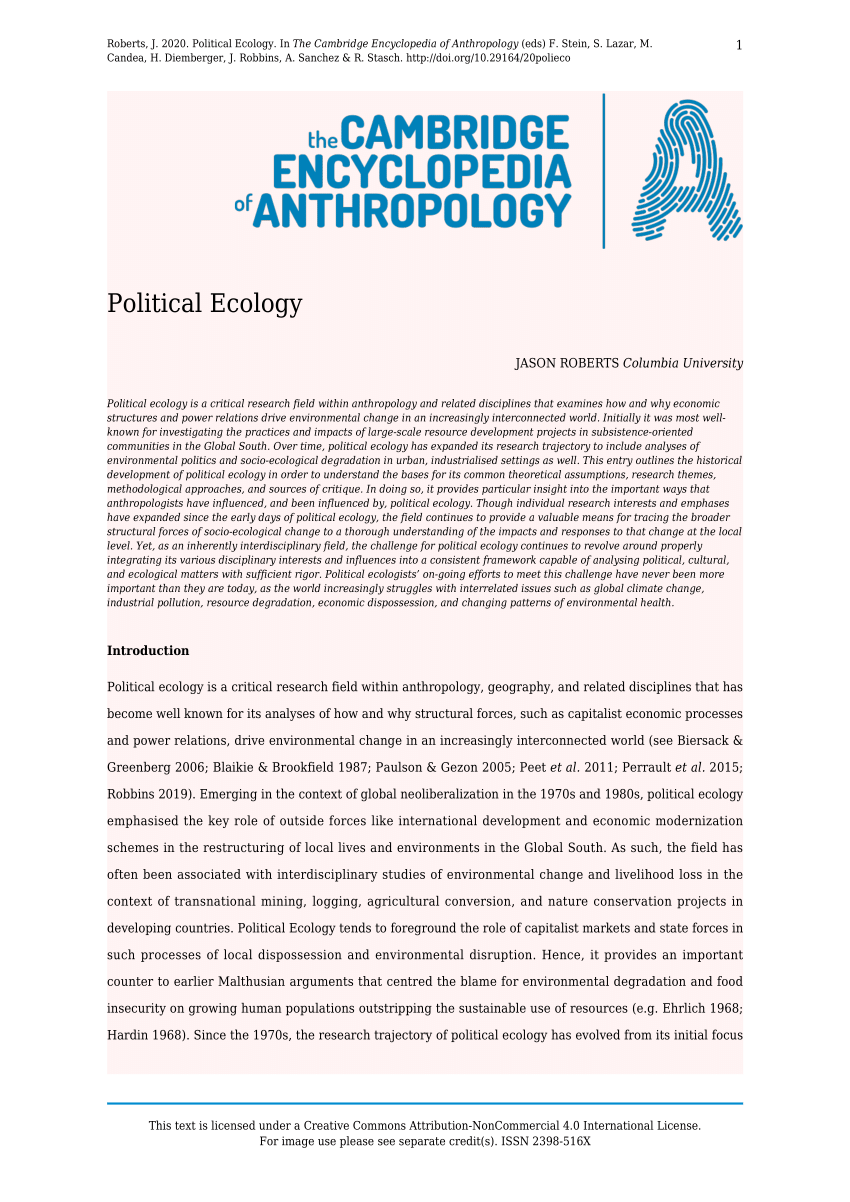 political ecology essay