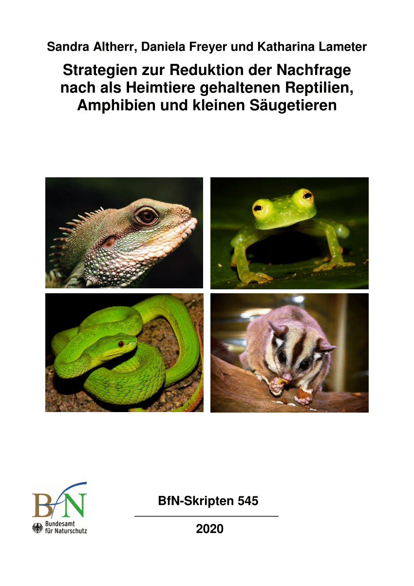 (PDF) Strategies for reducing demand for reptiles, amphibians and small