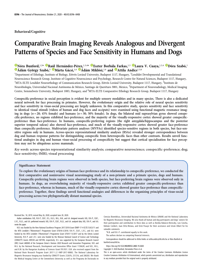 PDF) Comparative Brain Imaging Reveals Analogous And Divergent